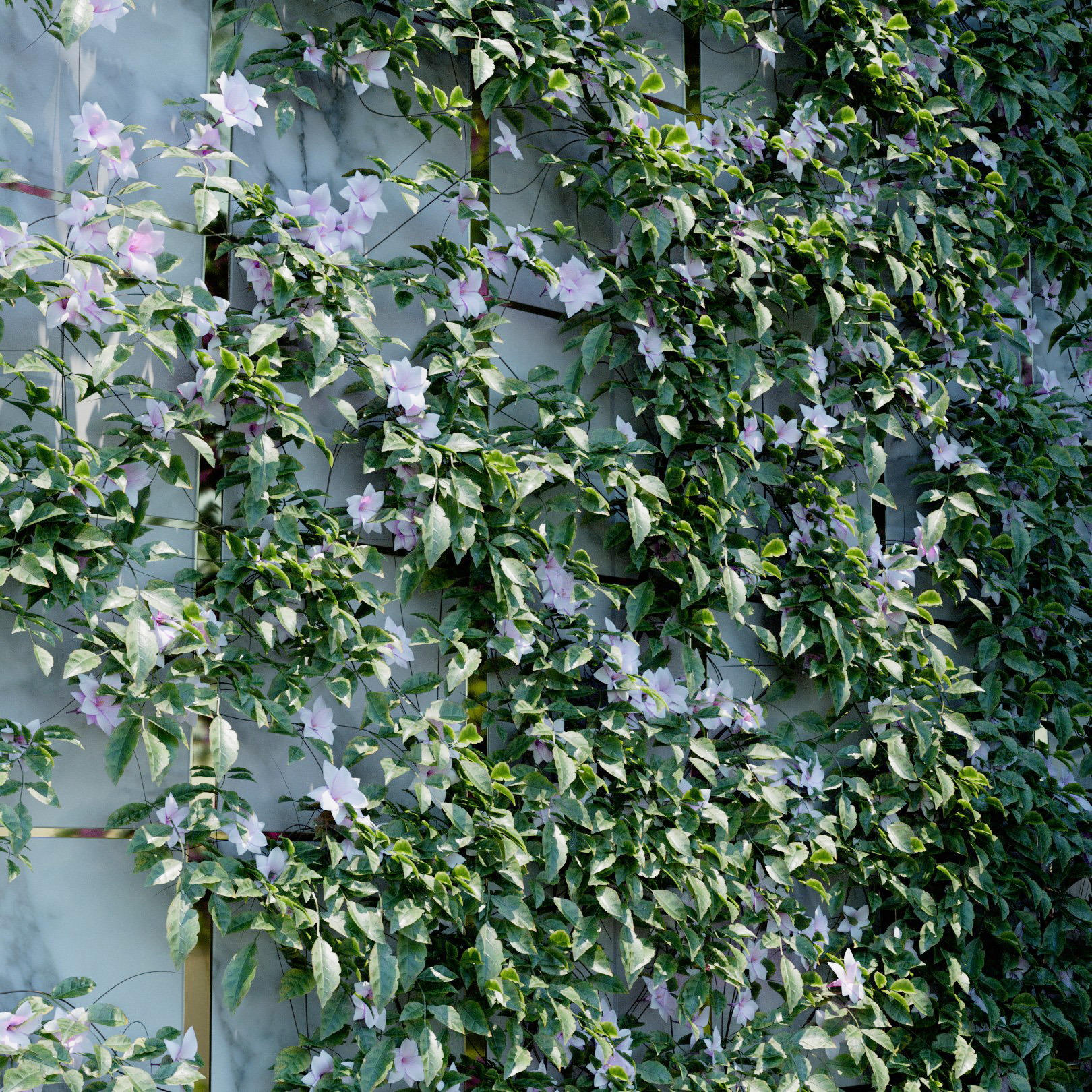 Jasmine Ivy Preset